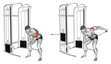 Cable Bent-Over One Arm Lateral Raise
