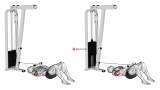 Cable Triceps Pushdown on Floor