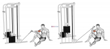 Cable Seated Floor One Arm Concentration Curl
