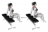 Scapula Dips (female)
