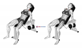Dumbbell Incline Shrug (female)