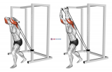 Band overhead triceps extension (male)