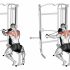 Barbell Hang Clean
