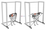 Band bent-over rear lateral raise (male)