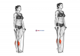 Band Two Legs Calf Raise – (Band under both legs) VERSION 2 (female)