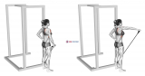 Band front lateral raise (female)